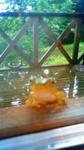 20100714.jpg